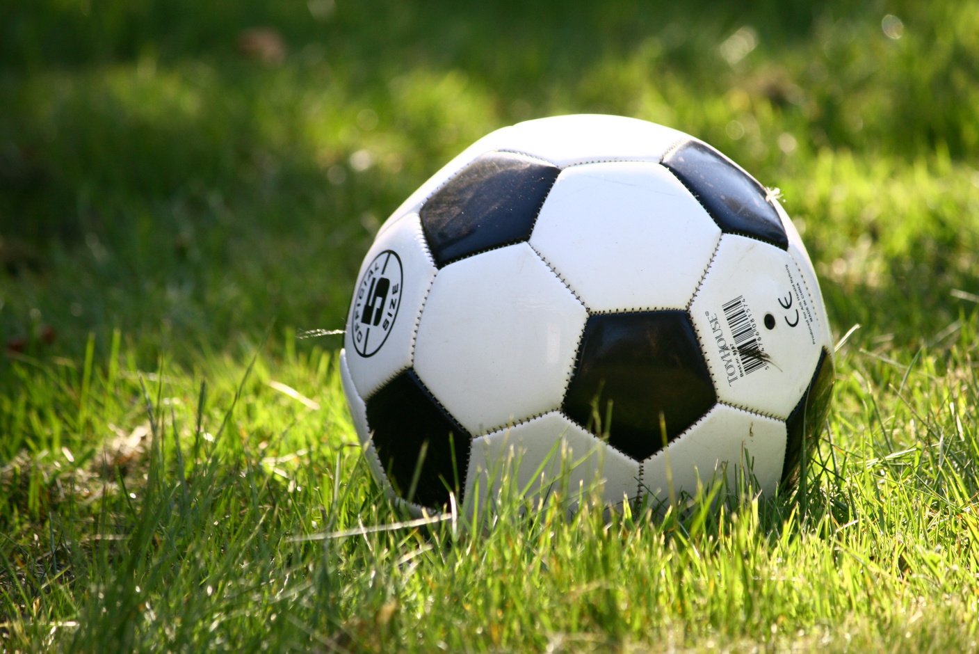 Soccer Ball on Grass